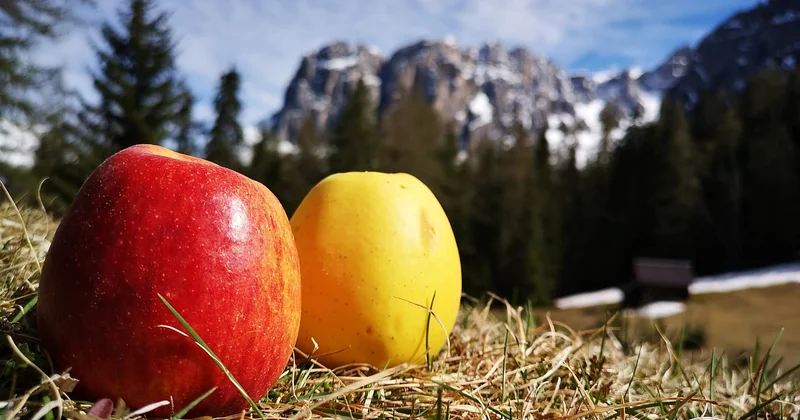 Pourquoi la montagne change tout au bien-être