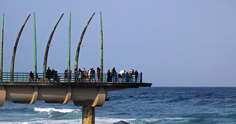 Peut-on vraiment voir des baleines depuis la rive ?