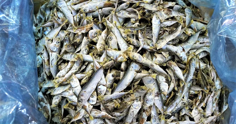 Sortir des sentiers thaïlandais : trois marchés que l'on voit rarement dans les guides